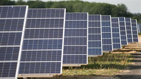 Mia grose onlyfans free she’s the total deal so you won’t