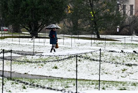 Director Timothy Busfield turns himself in to face child sex abuse