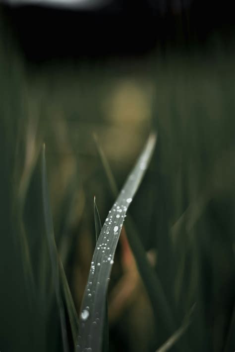 Freya Pickard – I Write Her