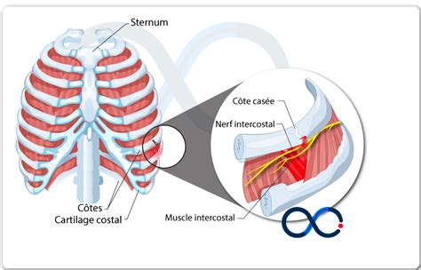 Cote De Pablo Nude Pics Original Video Content #683