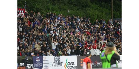 Dua lipa porn pov simple to schedule meetings and the