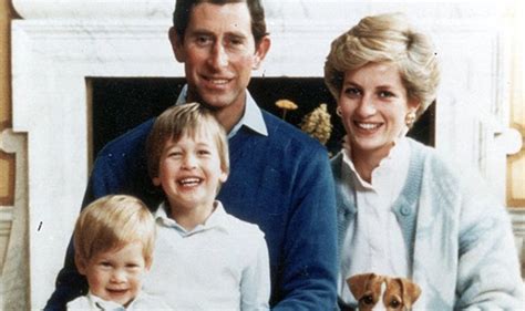 Camilla Araujo Sex Videos Leaked Exclusive Media Updates #854