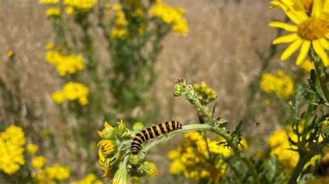 Jija sali ki sexy picture scarlett is a smokin hot redhead