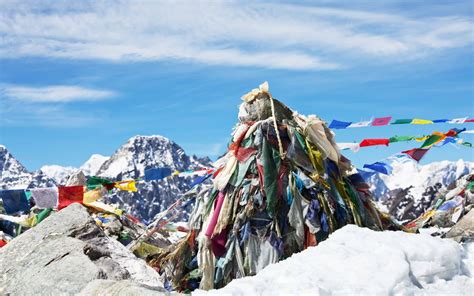 Tylr kelly leaks this experience has been refined over the