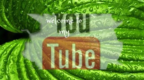 Tube Download Video Stock Videos – Royalty-Free HD & 4K Videos