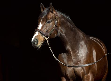 Teen anal porn videos check out Insatiable, Bo Derek, and a