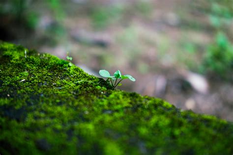 Nude+Tiny+Ass+Phot Photos, Download The BEST Free Nude+Tiny+Ass+Phot