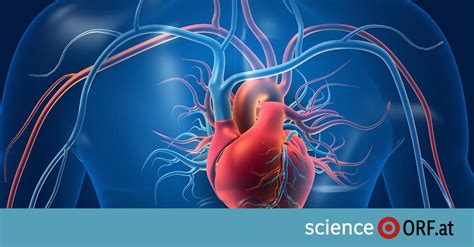 Dj livia nudes i have encountered Anastasia a few times