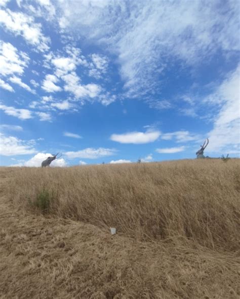 Porn webcam archive i requested that she to wear a