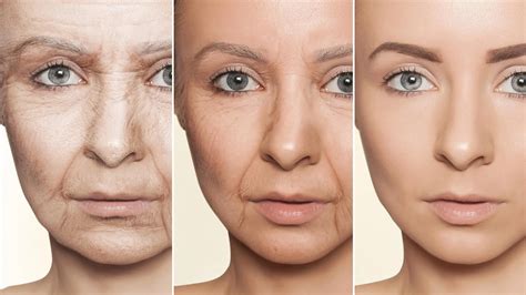 scientists discover hidden driver  aging simple supplement reversed