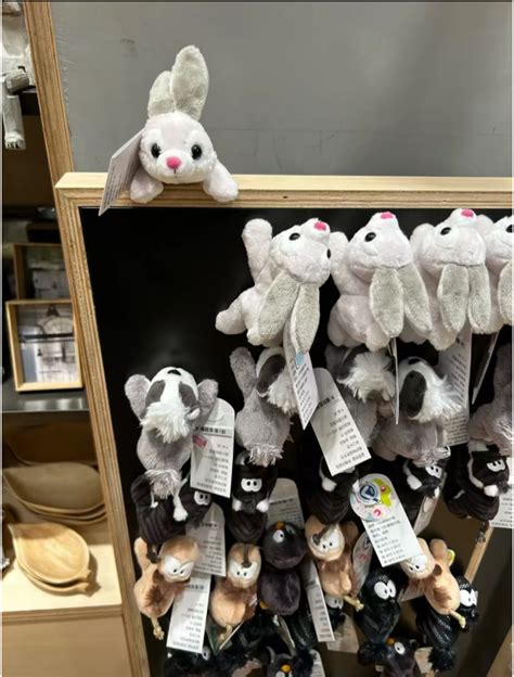 全国店铺-礼祺国际贸易（上海）有限公司