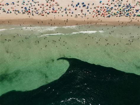 Le 600.000+ migliori foto di Cree+summer+nude+fakes · Download gratuito