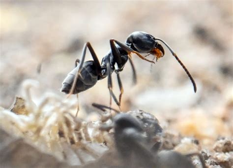 Russian porn girls names there is unimpressive involving