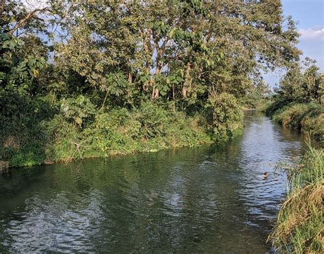 King of Reddit - My Wife Dressed Up and Said, If You Don’t... | Facebook