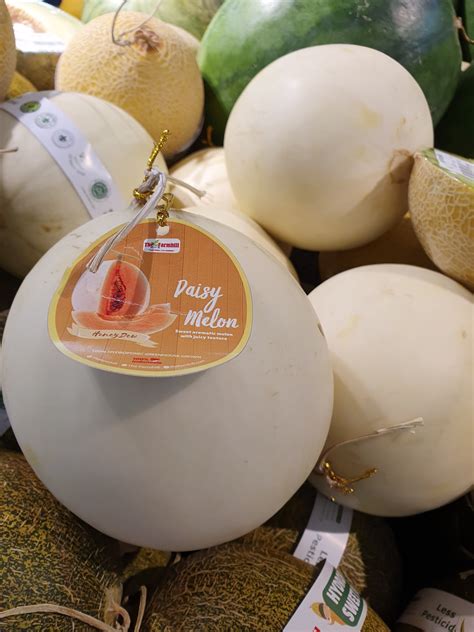 Honeydew Melon Size