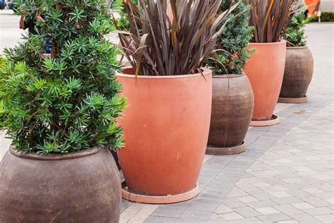 12 Backyard Fence Ideas That’ll Make You Want a Fence