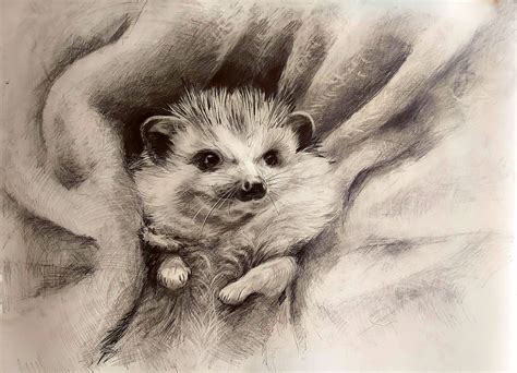 Realistic Hedgehog Drawing