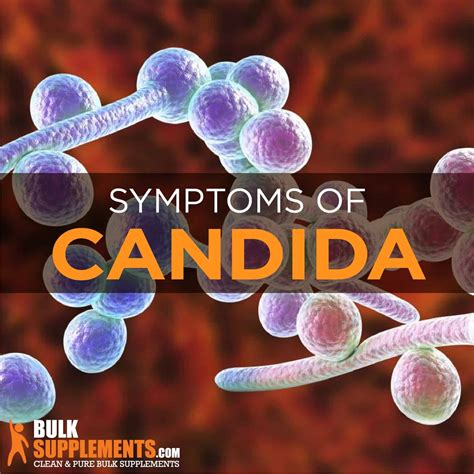 what is candida Archives