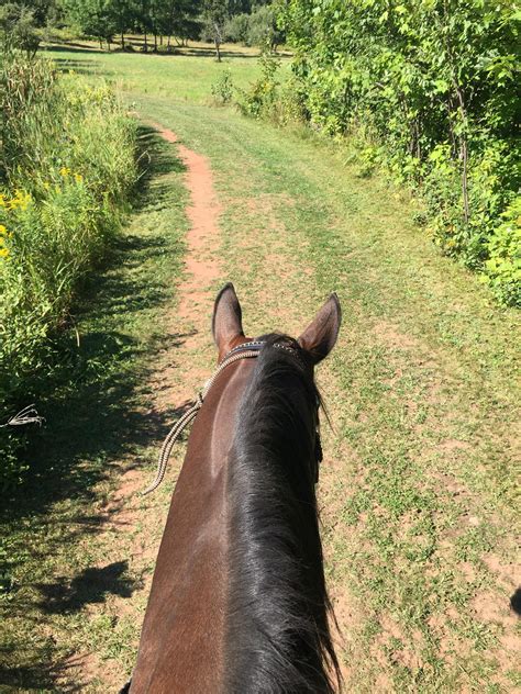 Summer Horseback Trail Riding is in full swing!! - Come Riding