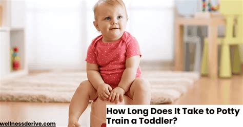 how long to potty train a toddler
