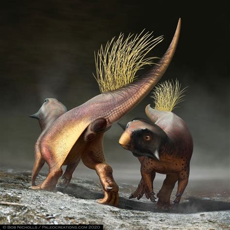 Dinosaur's butthole described in detail for the 1st time