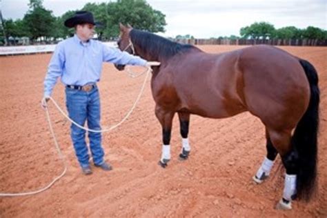 french vocabulary illustrated longe