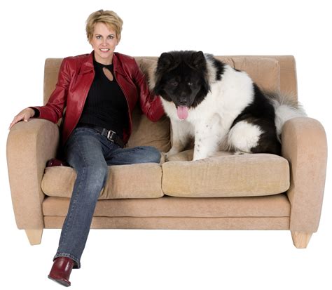 how to keep puppy off couch 2