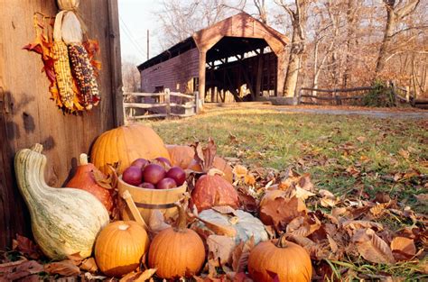 24 Reasons Fall is Best Spent in The Country | Thanksgiving facts ...