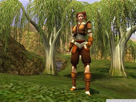 Asheron's Call 2 | Sector.sk