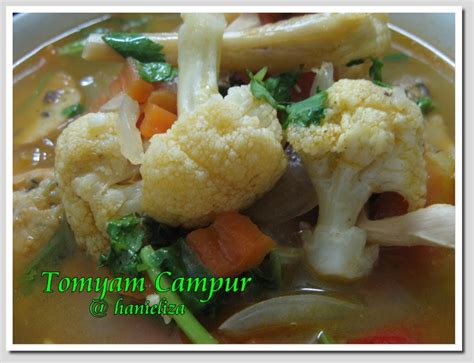 hanielizas cooking tomyam campur