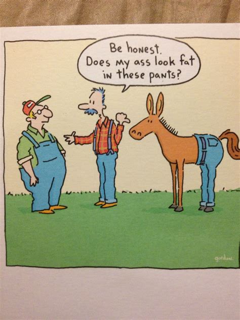 Funny Pictures Jokes