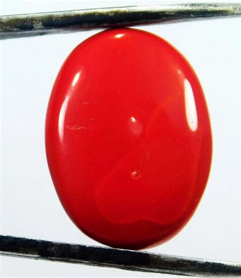 red synthetic coral gemstone   price  jaipur  jyotsana gems