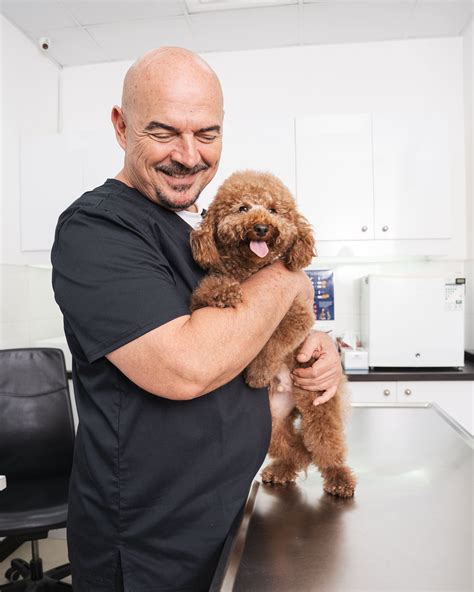 Down Syndrome in Dogs: Can Dogs Get It?