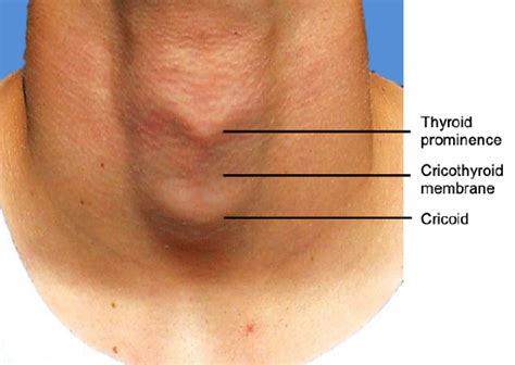 1.27: Cricothyroidotomy and Needle Cricothyrotomy - Medicine LibreTexts