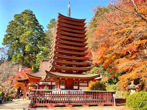 nara shrines todai ji temple nara city ifwb