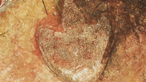 Scientists Discover Similar Dinosaur Footprints on Opposite Sides of ...