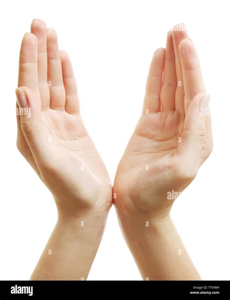 hands isolated  white stock photo alamy