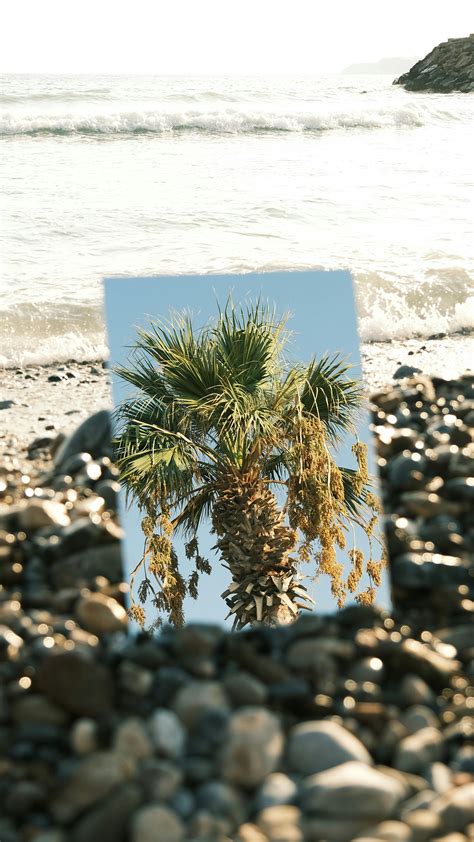 Nude+Beach+Gifs Photos, Download The BEST Free Nude+Beach+Gifs Stock