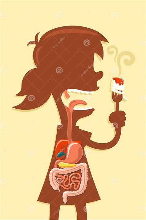 Digestive system of a girl stock illustration. Illustration of head ...