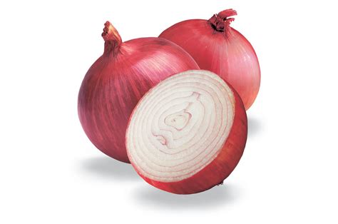 onion extract krishana enterprises