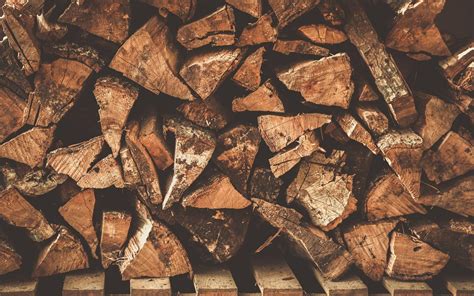 increase  knowledge facts  wood cut  wood