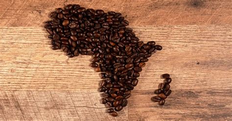 African Coffee Production: Challenges and Opportunities for 2024