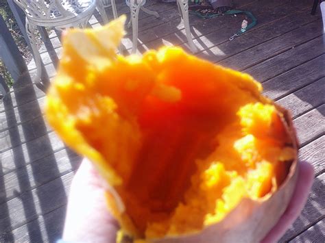 Kabir, Squash and The Truth - by Alicia - Uplift Unicorn