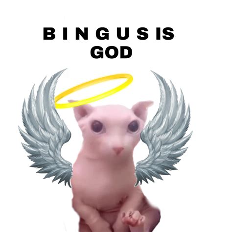 B I N G U S is GOD : r/bingus