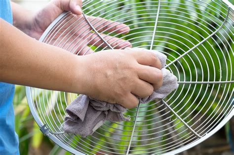 Sparkling Clean Kitchen: The Ultimate Guide to Cleaning Your Appliances - Hunter Games Magazine
