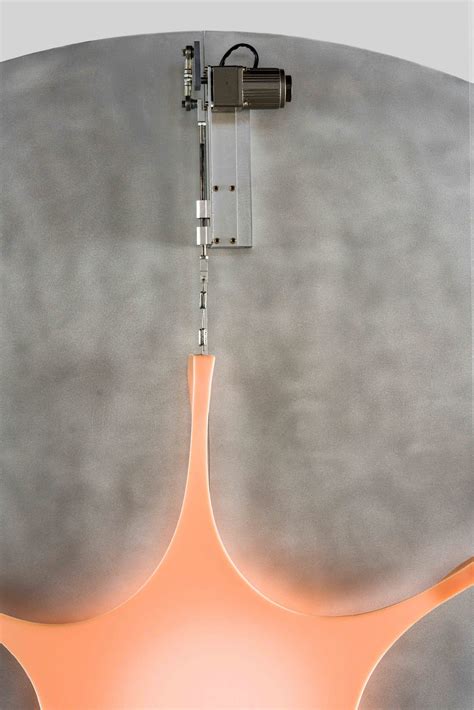 Flesh Light — Brecht Wright Gander