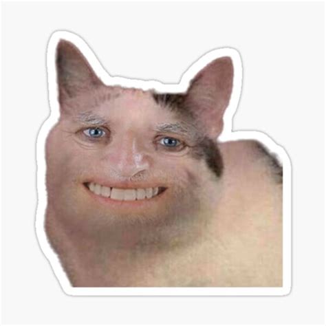 "SMILING CAT MEME " Sticker for Sale by TruchaDesigns | Redbubble