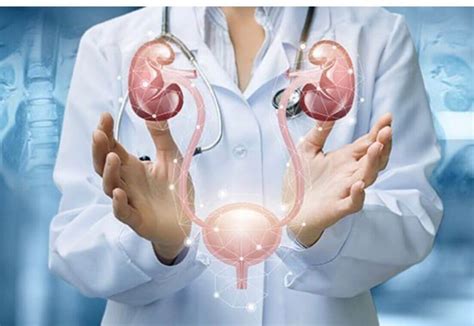 Urologista – o que esse médico trata? - Centro Médico de Urologia