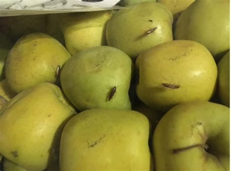 Cierran una tienda que rociaba insecticida sobre la fruta para acabar ...