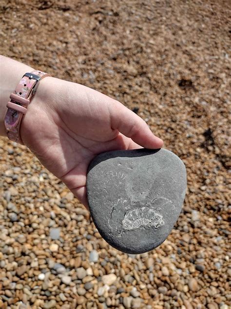 Guide to Seatown Dorset, Golden Cap Park, Food & Beach - Devon Tourist